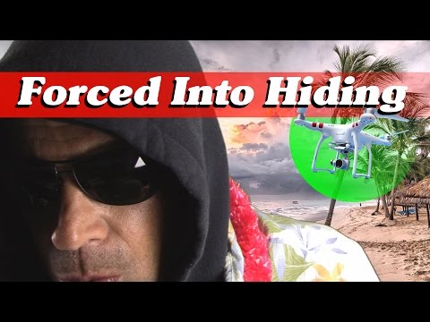 ASMR Dealer On Vacation or Forced Into Hiding?