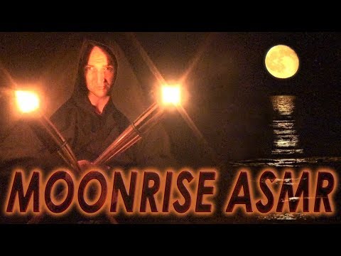 Full Moonrise ASMR | Hand Movements | Night Sea Beach | Tai Chi