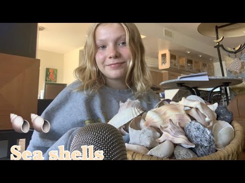 Tapping And Scratching On Sea Shells ASMR 🐚🐚