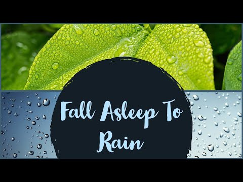 ASMR - Fall Sleep To The Nature Of Rain - Pure Rain Sounds, No Talking,