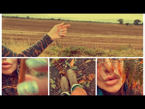 ASMR walk with me.  Outdoor sounds, tapping, whispering and autumnal colours.  This is me.