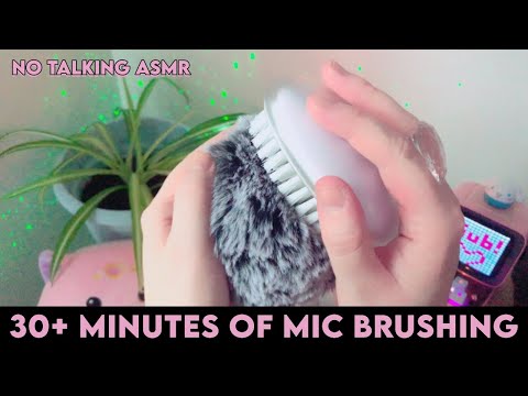 ASMR 30 Minutes of Brain Massage [Fluffy Mic Brushing] | NO TALKING