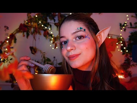 ASMR : Tu passe la nuit dans un monde féerique car tu as trouvé un portail. (RP)✨