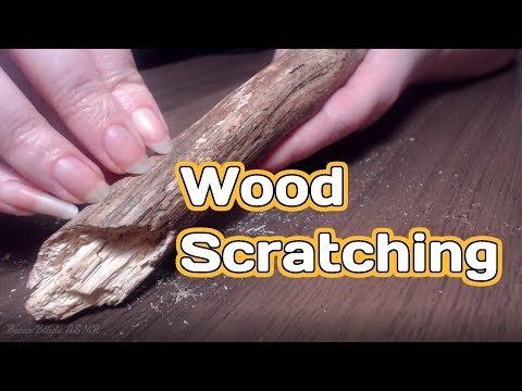 ASMR Wood Scratching 🌲 🌳