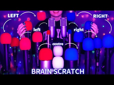 ASMR Mic Scratching - Brain Scratching with 20 MICS🎤| No Talking for Sleep with Long Nails 1H - 4K