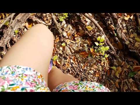 [ASMR] Mit dir unterwegs 🐾🌳 Wald- & Naturgeräusche