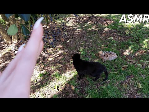 Camera Tapping Outside With Other Triggers | ASMR 🌿