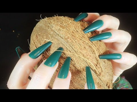 ASMR Aggressive Coconut Scratching and Tapping | Long Nails