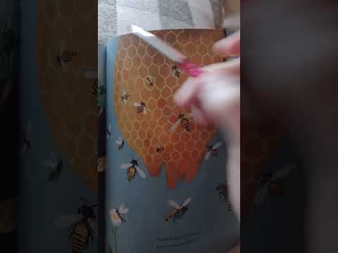 counting bees 🐝 ASMR