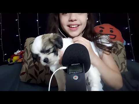 ASMR 🎧 COM MEU CACHORRO | WITH MY DOG