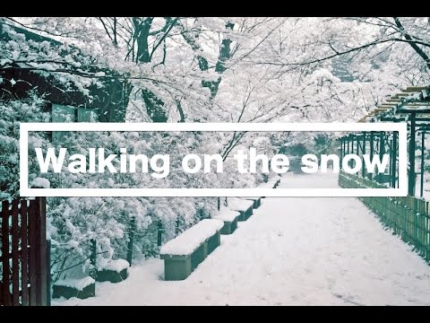 ✧J-ASMR✧雪の上を歩く音/Binaural walking on the snow sounds/눈위를 걷는 소리✧音フェチ✧