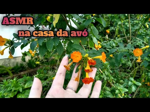 ASMR - Sons da natureza ao ar livre para você relaxar (tapping agressivo)