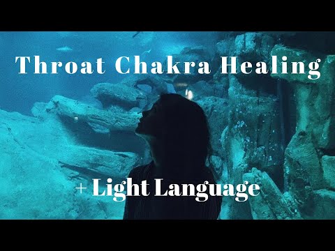 Healing your Throat Chakra Meditation + Light Language + Reiki