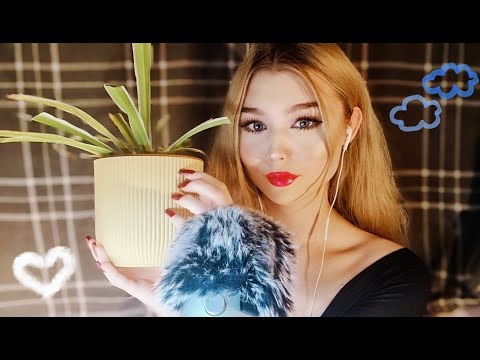 ASMR | CLASSIC TAPPING AND SCRATCHING (+ tingly rambles)