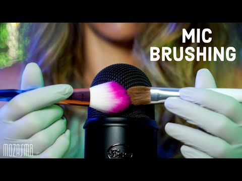 ASMR Microphone Brushing