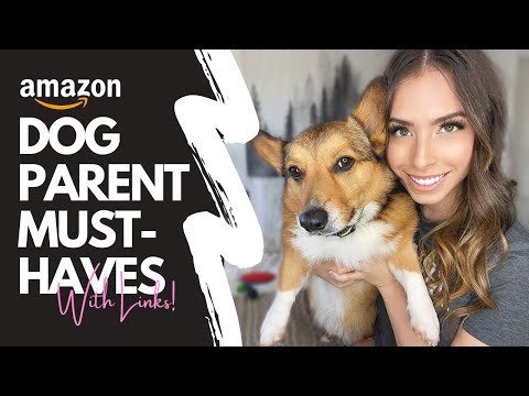 13 Essential Dog Products from Amazon! Do you have these?