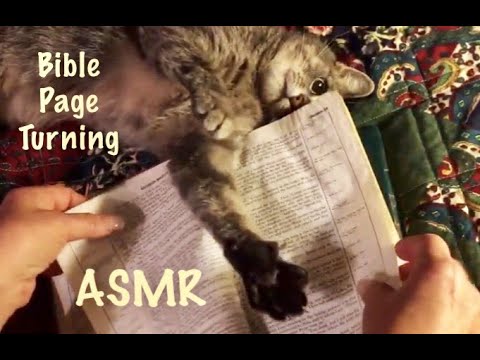 ASMR Bible page turning, cat play @ 13:27 - 18:50 crinkly water damaged pages (no talking)