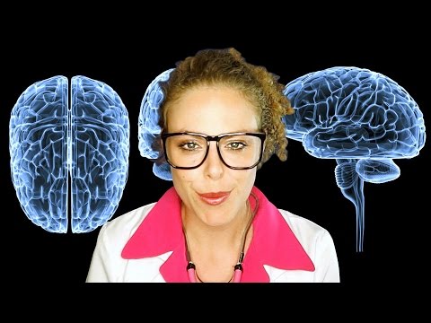 ASMR Cranial Nerve Examination & Cleaning! Role Play Doctor Exam Visit – Binaural Ear To Ear