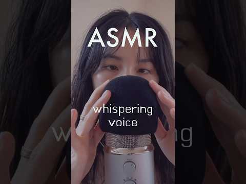 ASMR say hi to the mic cover #asmr #whispers