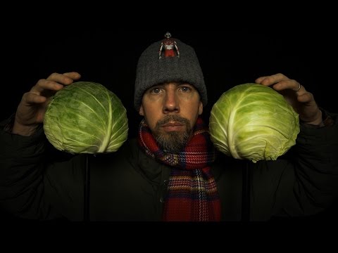 Binaural Cabbage Microphones [ VegeTech ASMR ]