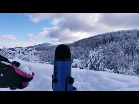 ASMR Winter Sounds For Those Who Love Nature ❣️
