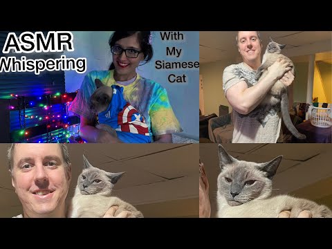 ASMR With Our Cat! - Whispering 🐱 - Whisper Sleep Relaxation Tingles Guaranteed  ♡
