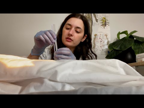 ASMR| Trying to Get Pregnant (OBGYN, Pap Smear, Preconception Counseling)