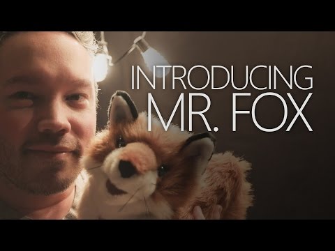Introducing Mr. Fox ~ ASMR/Binaural/Fur Sounds