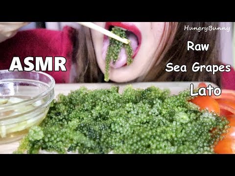 ASMR Raw Sea Grapes Eating Sounds | Green Caviar | Umi Budo | Hungry Bunny