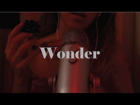Wonder by Shawn Mendes but ASMR