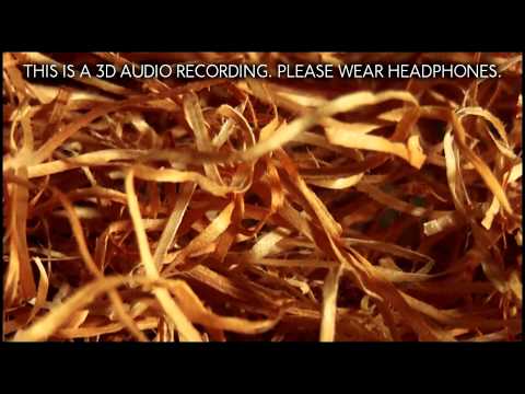 114. 3D Wood Wool (Binaural - Please Wear Headphones) - SOUNDsculptures - ASMR