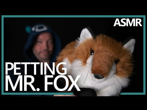 Petting Mr. Fox 🐈- Soft Spoken ASMR Fur Sounds (4K)