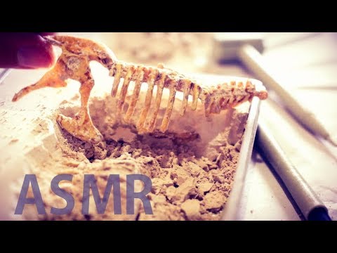 ASMR T-Rex Excavation ⛏️Ep #2 "Three Bones Extracted" - NO TALKING